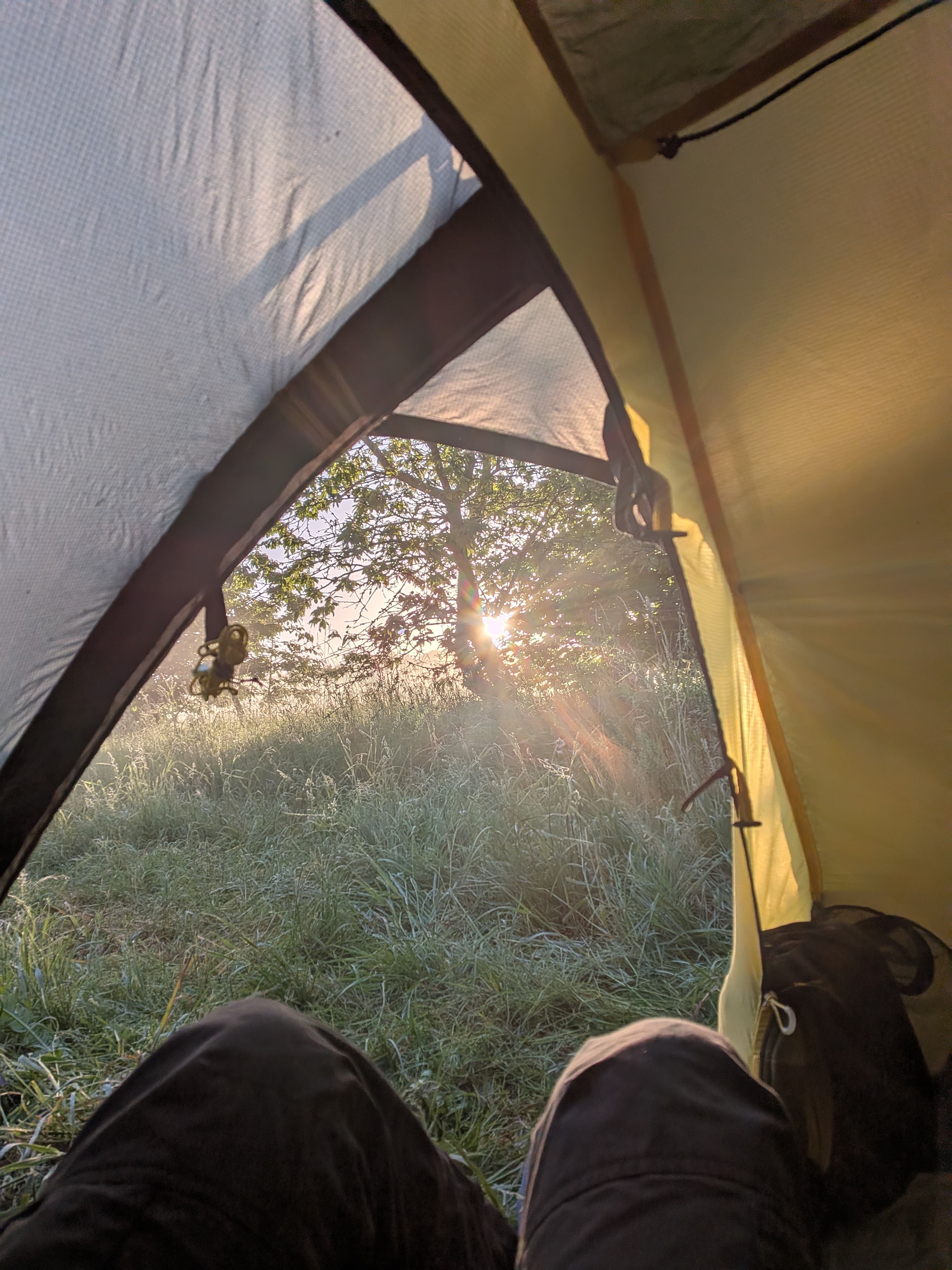 Early morning in the tent