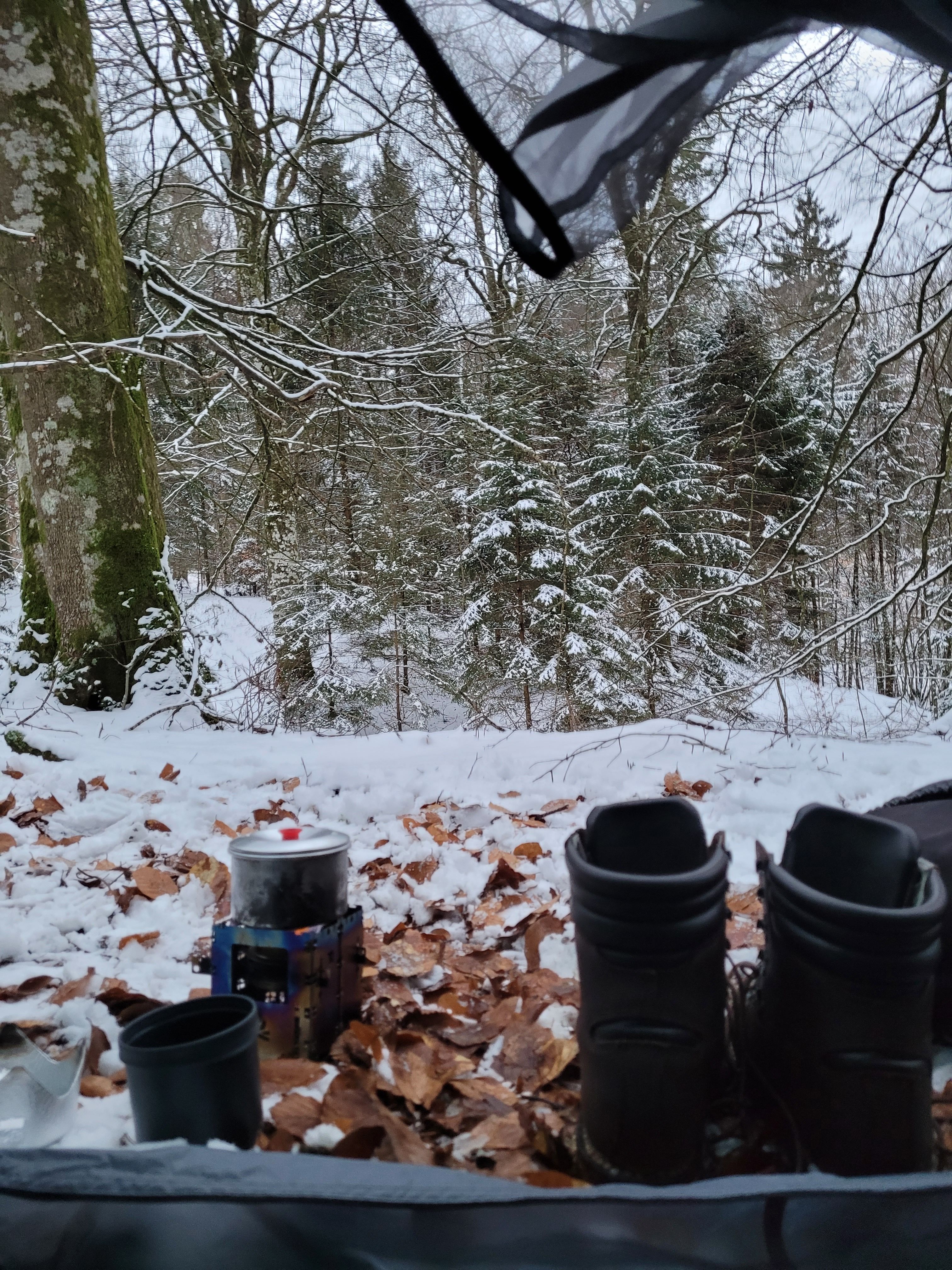 View from tent
