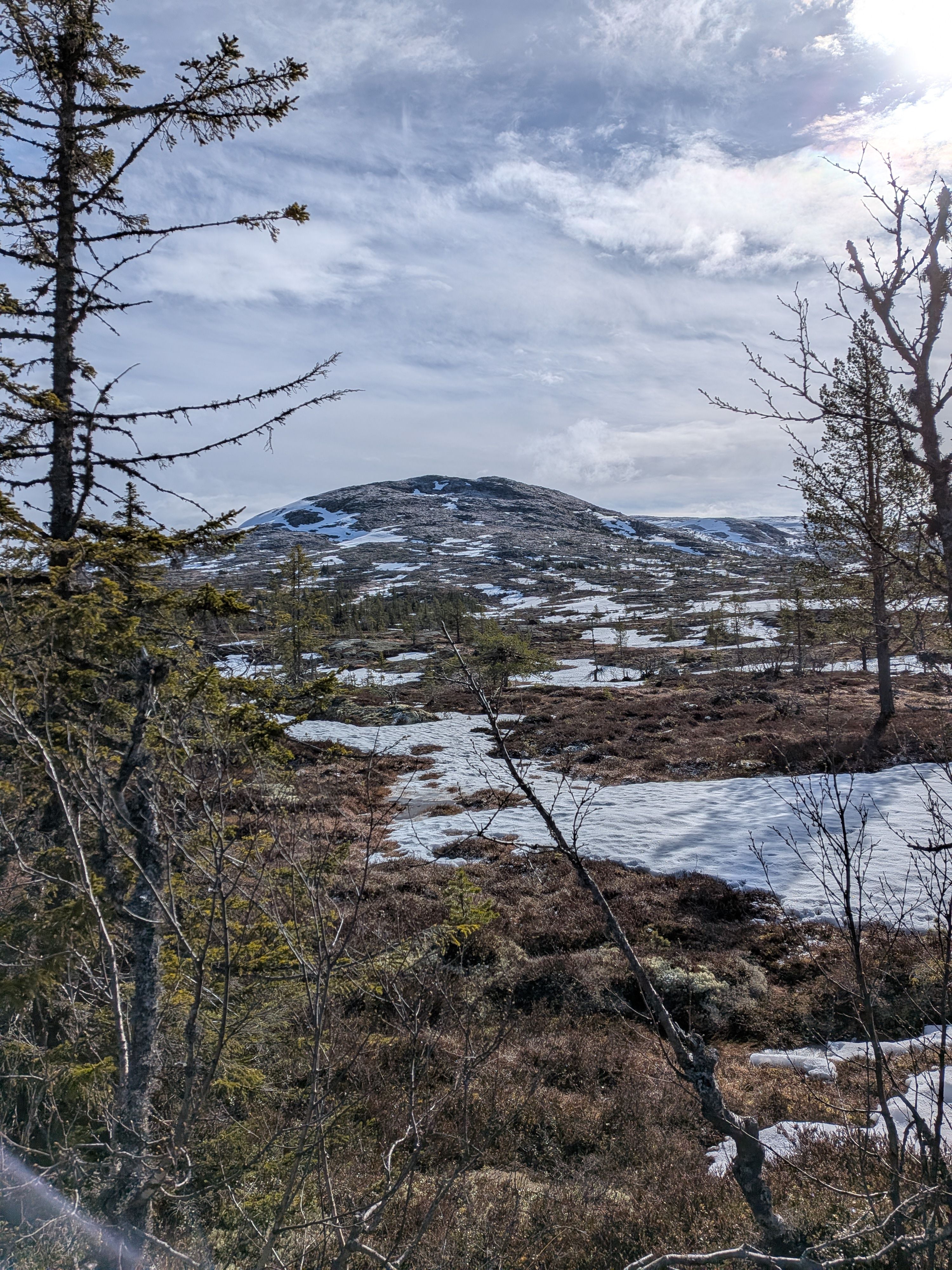 Mountains