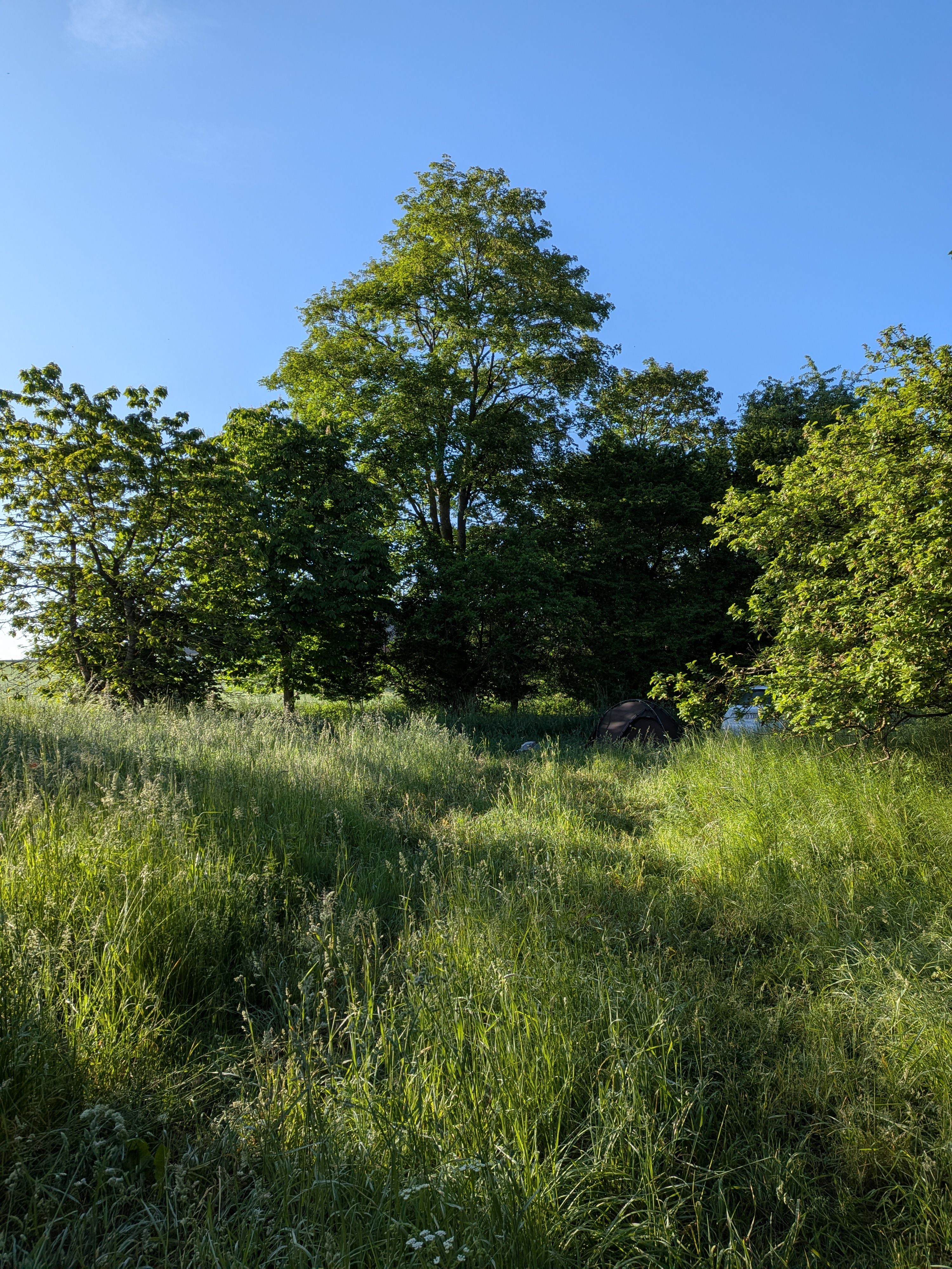 Tent in the distance