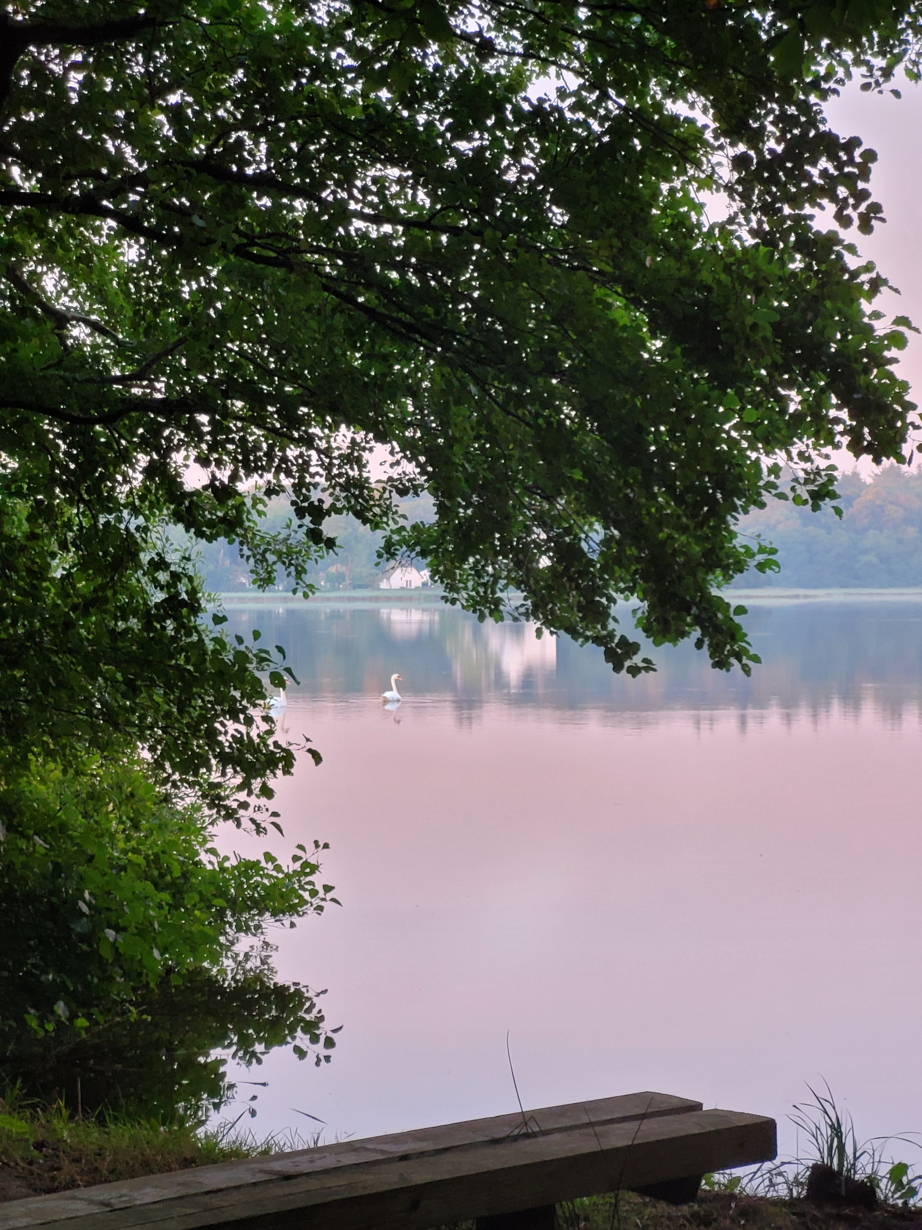 Morning view of the lake
