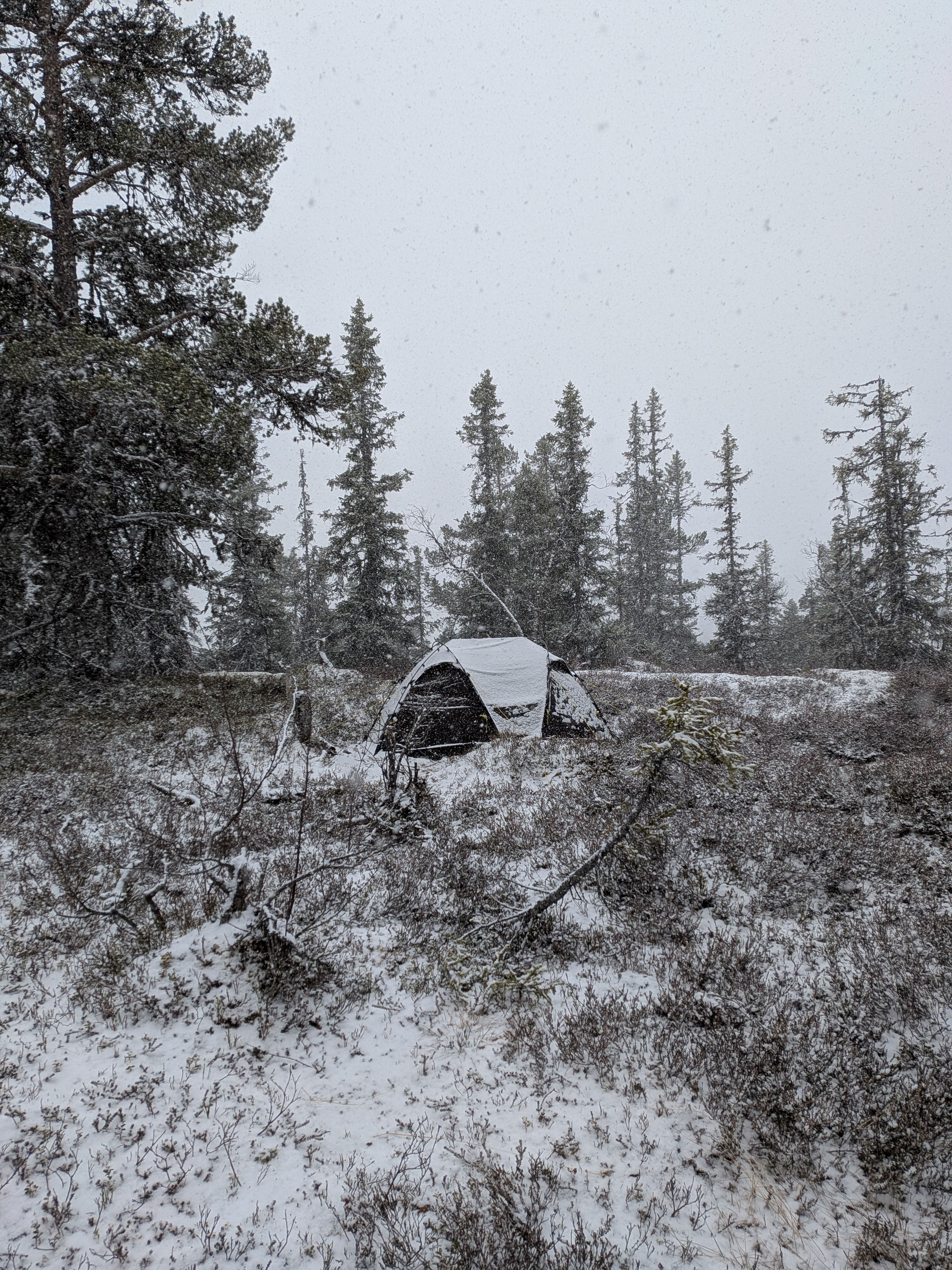 Snow on the tent